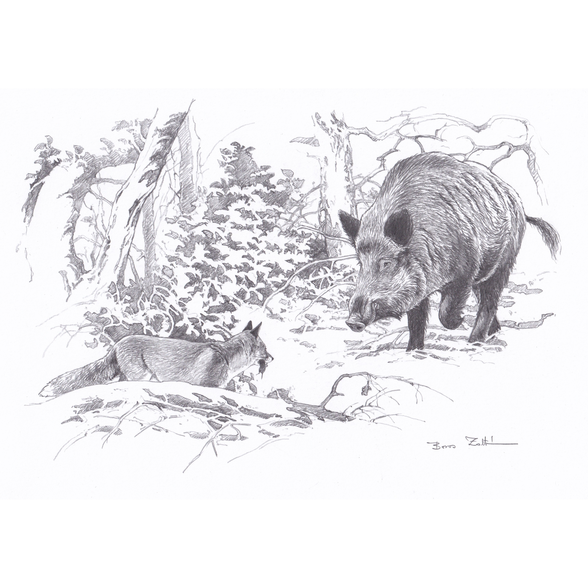 “Fox, Mouse and Male Boar”