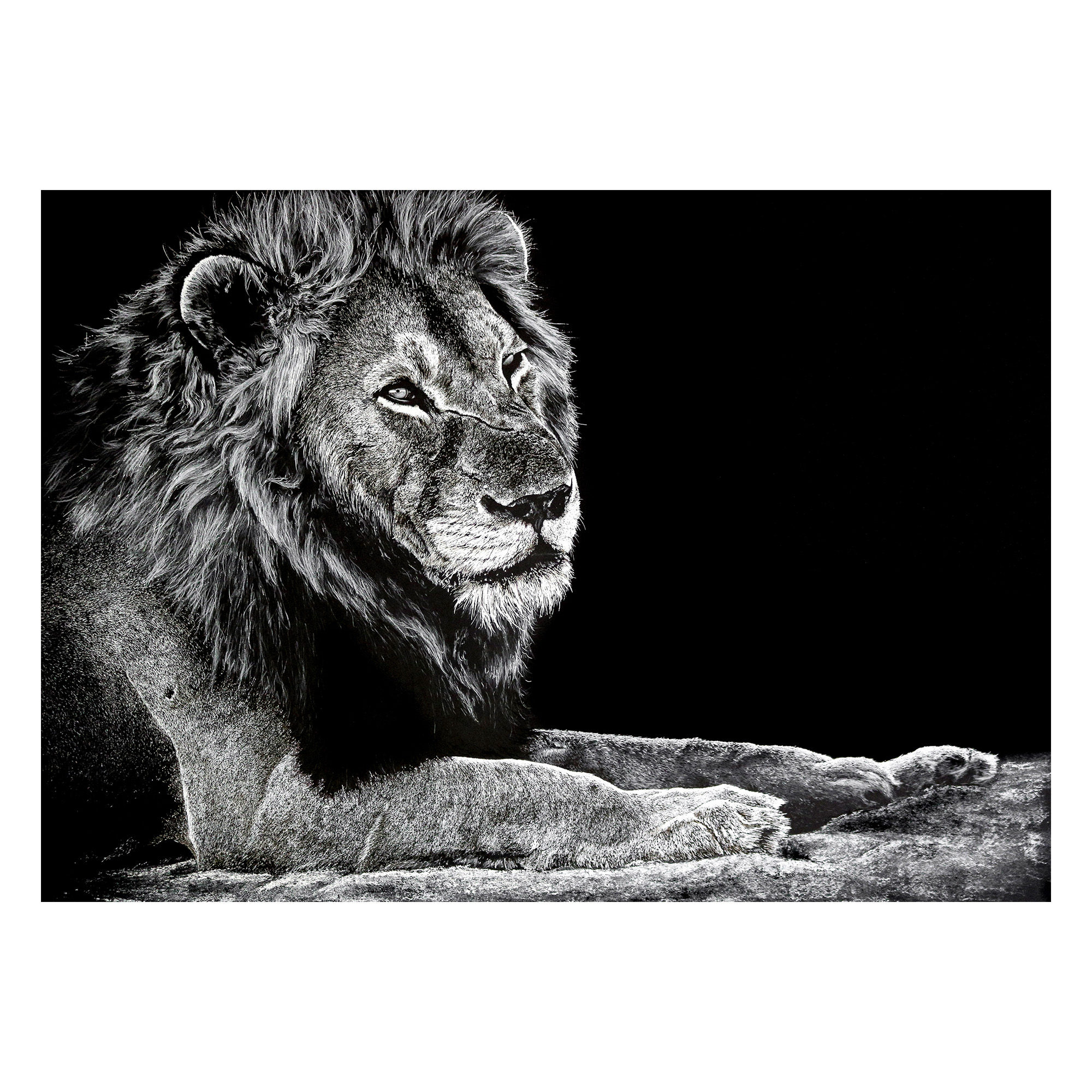 “Not a king, a lion”