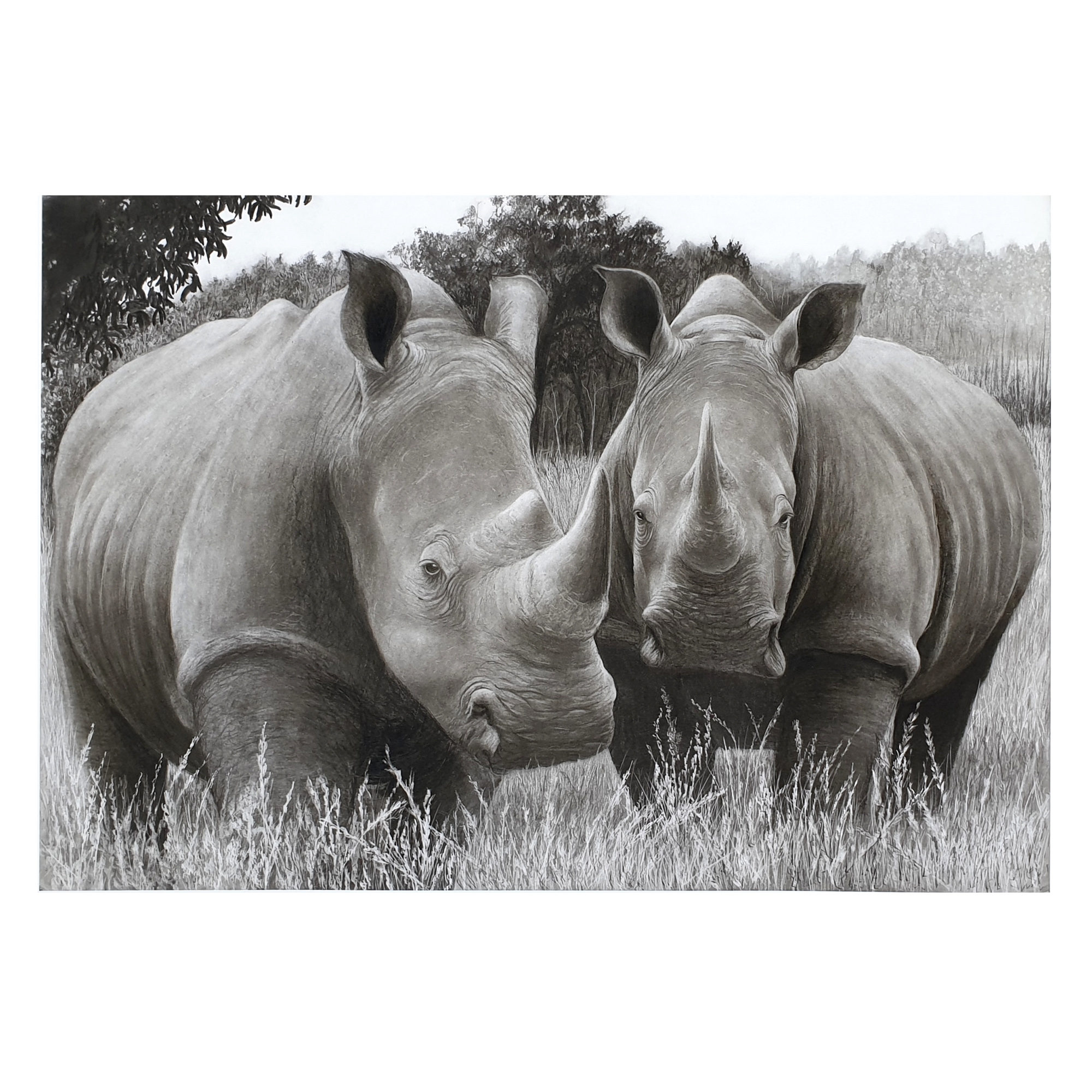 “Brace of rhinos” Limited edition pencil sketch